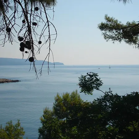 Maria パティティリ