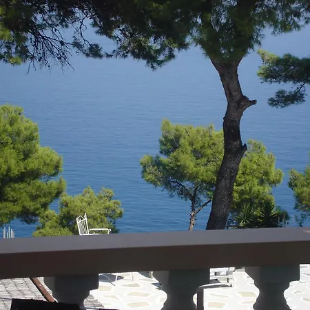 Maria * パティティリ