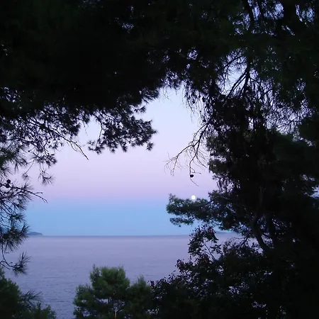 アパート Maria パティティリ