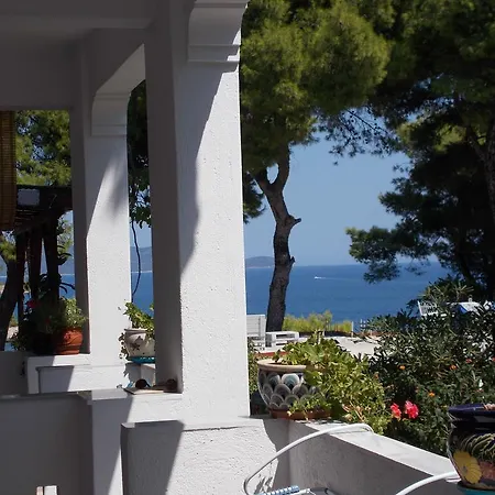 Maria * パティティリ