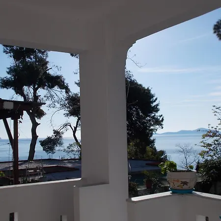 Maria Apartment Patitiri (Alonnisos)